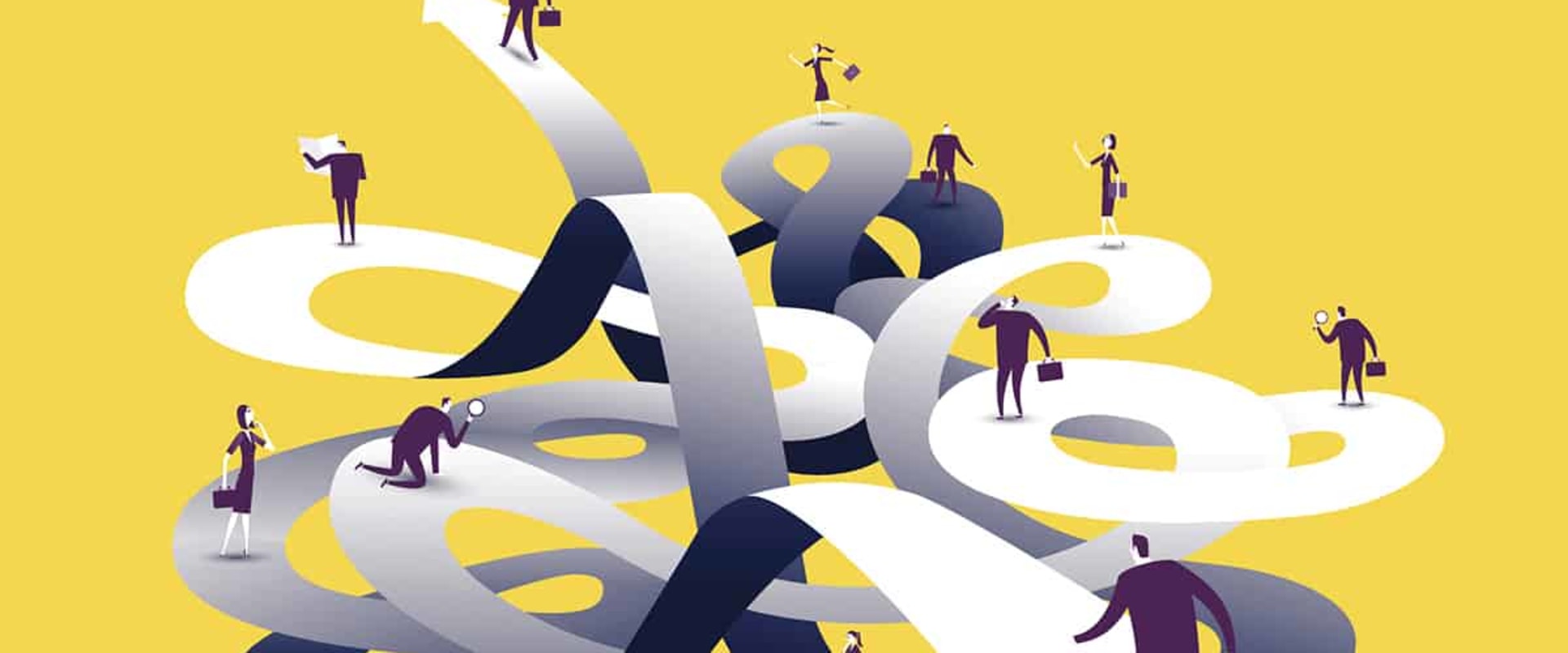 Explore Professional Degrees with an IB Background