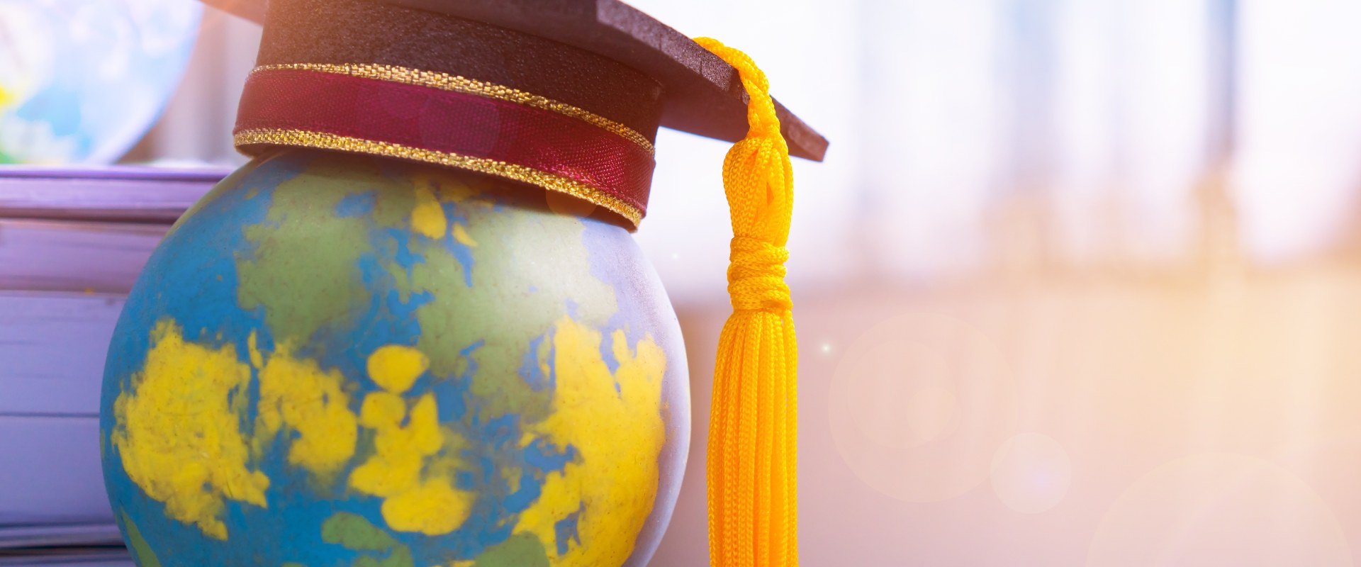 Explore Postgraduate Degrees with an IB Background