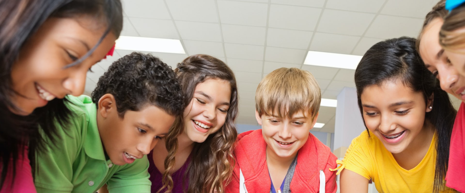IB Curriculum Structure Overview